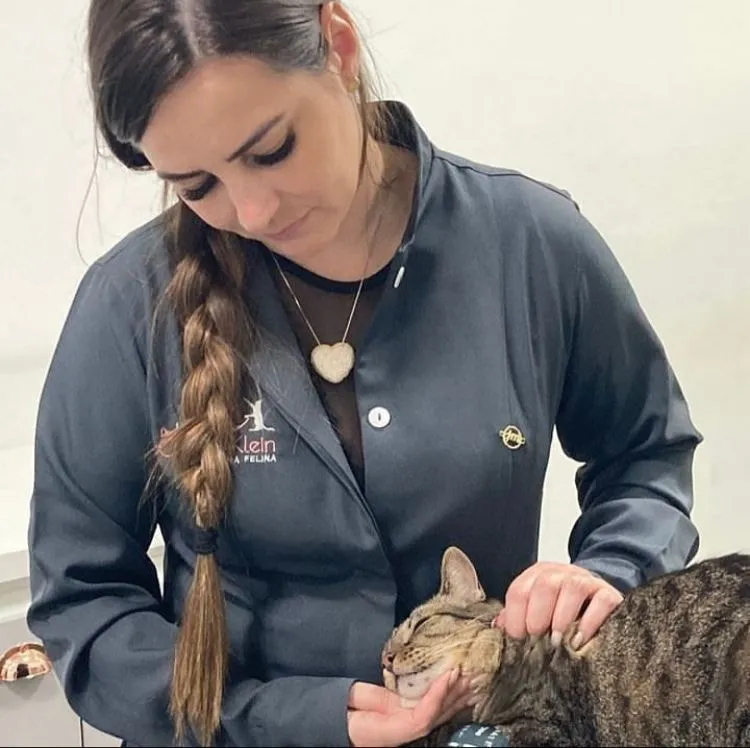 Dra. Clarissa Klein fazendo carinho em um gato tigrado durante a consulta na Cats Klein
