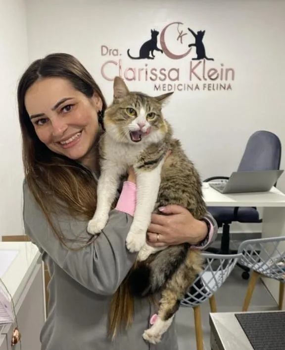 Gato tigrado de olhos atentos no colo da Dra. Clarissa Klein na Cats Klein