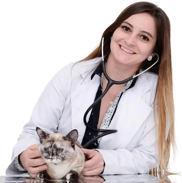 Dra. Clarissa Klein com estetoscópio e uma gata siamesa, avaliação que inclui a saúde da boca