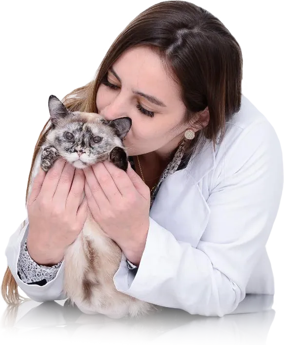 Dra. Clarissa Klein, veterinária especialista em gatos, dando um beijo em uma gata no colo