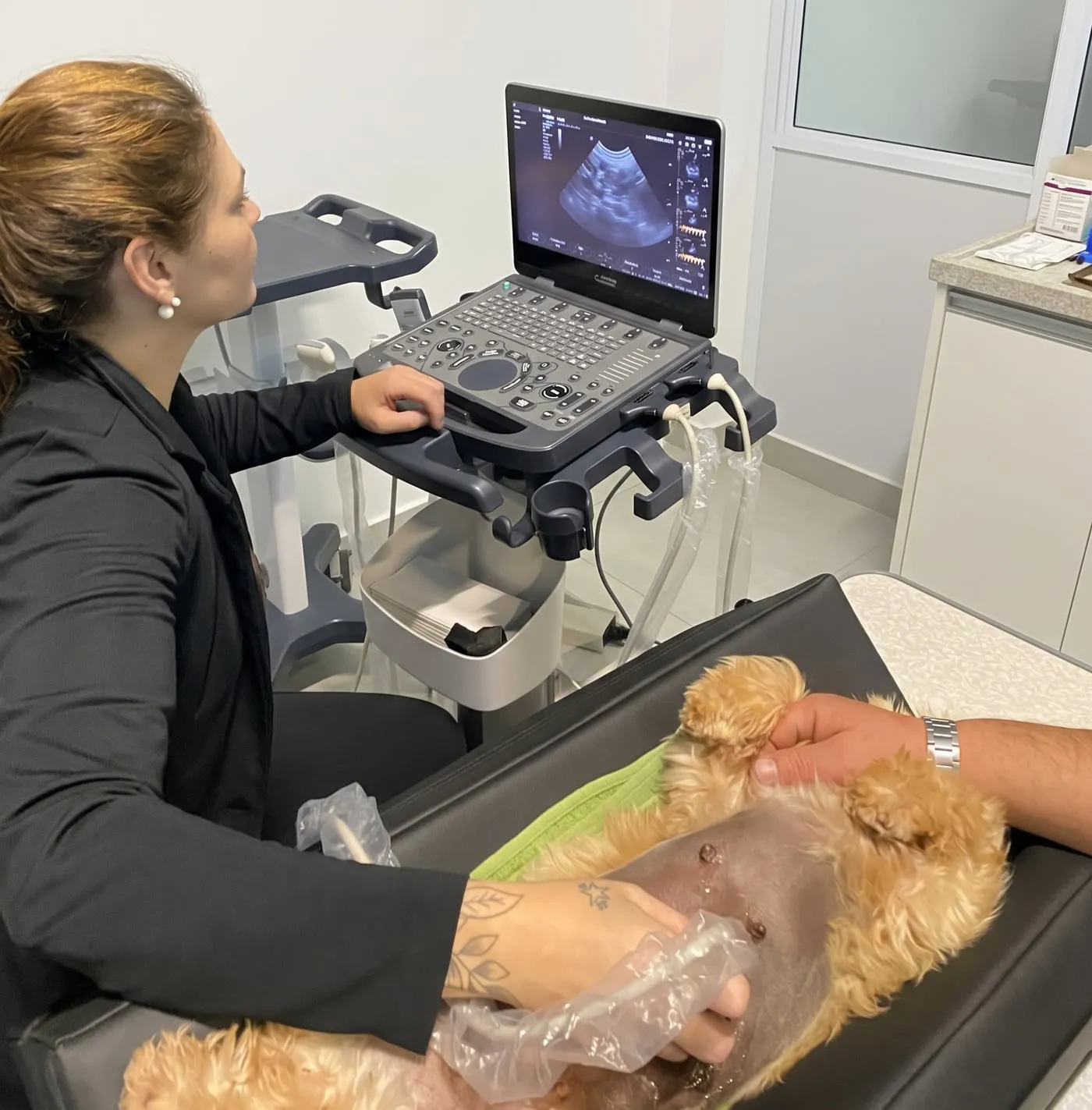 Dra. Bruna Klein realizando ultrassom abdominal em um gato na Cats Klein